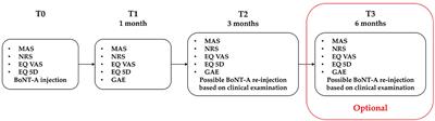 Clinical efficacy of botulinum toxin type A in patients with traumatic brain injury, spinal cord injury, or multiple sclerosis: An observational longitudinal study